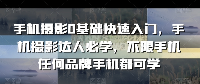 手机摄影0基础快速入门,手机摄影达人必学,不限手机任何品牌手机都可学插图 手机摄影0基础快速入门,手机摄影达人必学,不限手机任何品牌手机都可学