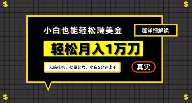 谷歌看广告撸美金2.0,无脑挂机,多号操作,月入1万刀【揭秘】插图 谷歌看广告撸美金2.0,无脑挂机,多号操作,月入1万刀【揭秘】