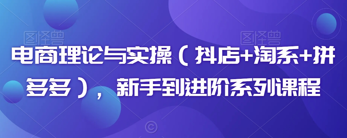 电商理论与实操(抖店+淘系+拼多多),新手到进阶系列课程插图 电商理论与实操(抖店+淘系+拼多多),新手到进阶系列课程