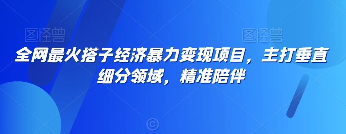 全网最火搭子经济暴力变现项目,主打垂直细分领域,精准陪伴【揭秘】插图 全网最火搭子经济暴力变现项目,主打垂直细分领域,精准陪伴【揭秘】