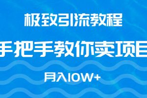 极致引流教程，手把手教你卖项目，月入10W+