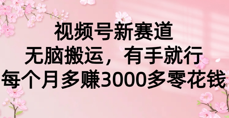 视频号新赛道,无脑搬运,有手就行,每个月多赚3000多零花钱插图 视频号新赛道,无脑搬运,有手就行,每个月多赚3000多零花钱插图