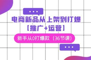 电商 新品从上架到打爆【推广+运营】，新手从0打爆款（36节课）