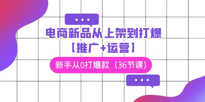 电商 新品从上架到打爆【推广+运营】,新手从0打爆款(36节课)插图 电商 新品从上架到打爆【推广+运营】,新手从0打爆款(36节课)插图