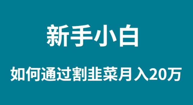 新手小白如何通过割韭菜月入 20W插图 新手小白如何通过割韭菜月入 20W插图