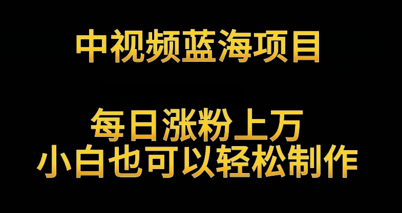 中视频蓝海项目,解读英雄人物生平,每日涨粉上万,小白也可以轻松制作,月入过万不是梦【揭秘】插图 中视频蓝海项目,解读英雄人物生平,每日涨粉上万,小白也可以轻松制作,月入过万不是梦【揭秘】