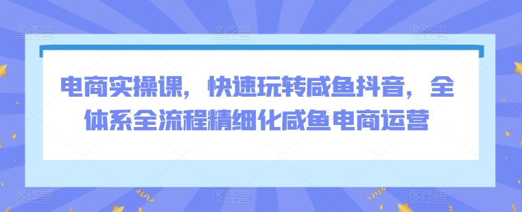 电商实操课,快速玩转咸鱼抖音,全体系全流程精细化咸鱼电商运营插图 电商实操课,快速玩转咸鱼抖音,全体系全流程精细化咸鱼电商运营