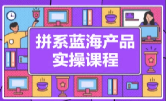 拼系冷门蓝海产品实操课程,从注册店铺到选品上架到流量维护环环相扣插图 拼系冷门蓝海产品实操课程,从注册店铺到选品上架到流量维护环环相扣