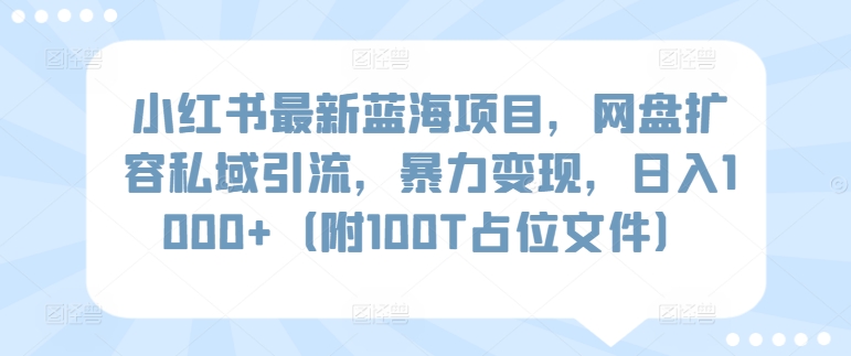 小红书最新蓝海项目,网盘扩容私域引流,暴力变现,日入1000+(附100T占位文件)【揭秘】插图 小红书最新蓝海项目,网盘扩容私域引流,暴力变现,日入1000+(附100T占位文件)【揭秘】