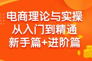 电商理论与实操从入门到精通 新手篇+进阶篇