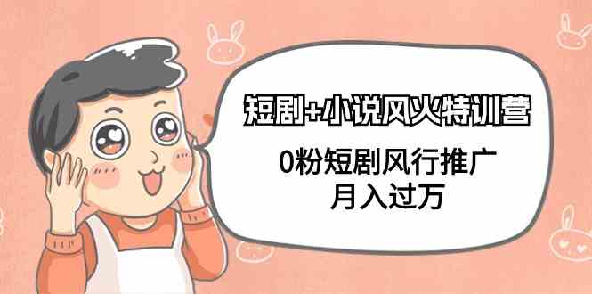 小说+短剧风火特训营,0粉短剧小说风行推广,实现月入过万插图 小说+短剧风火特训营,0粉短剧小说风行推广,实现月入过万插图