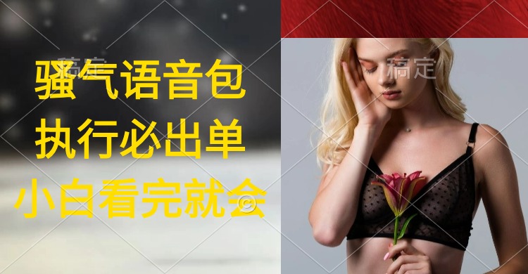 执行就出单,日入2000+,超火骚气语音包,小白看完课程就能马上实操插图 执行就出单,日入2000+,超火骚气语音包,小白看完课程就能马上实操插图