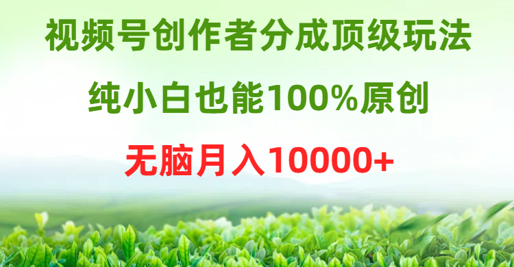 视频号创作者分成顶级玩法,纯小白也能100%原创,无脑月入10000+插图 视频号创作者分成顶级玩法,纯小白也能100%原创,无脑月入10000+插图