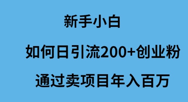 新手小白如何日引流200+创业粉通过卖项目年入百万插图 新手小白如何日引流200+创业粉通过卖项目年入百万插图