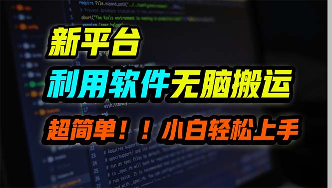 新平台用软件无脑搬运,月赚10000+,小白也能轻松上手插图 新平台用软件无脑搬运,月赚10000+,小白也能轻松上手插图