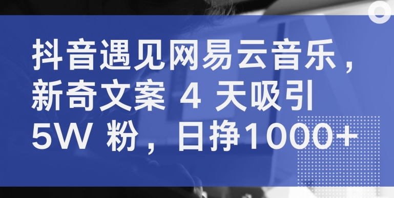 抖音遇见网易云音乐,新奇文案 4 天吸引 5W 粉,日挣1000+【揭秘】插图 抖音遇见网易云音乐,新奇文案 4 天吸引 5W 粉,日挣1000+【揭秘】