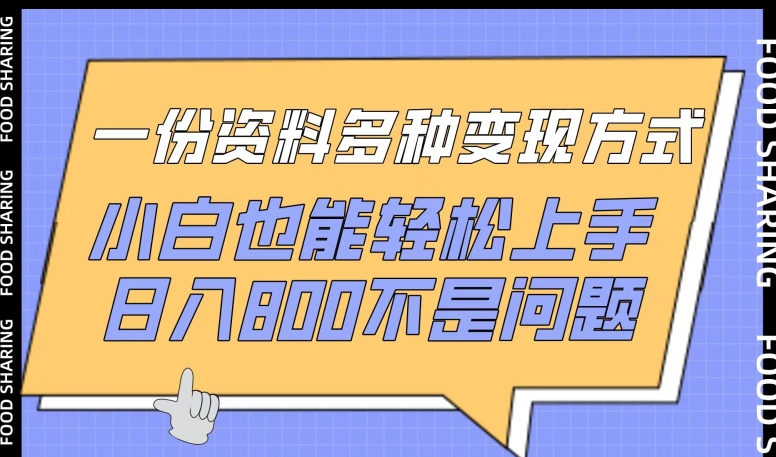 一份资料多种变现方式,小白也能轻松上手,日入800不是问题【揭秘】插图 一份资料多种变现方式,小白也能轻松上手,日入800不是问题【揭秘】