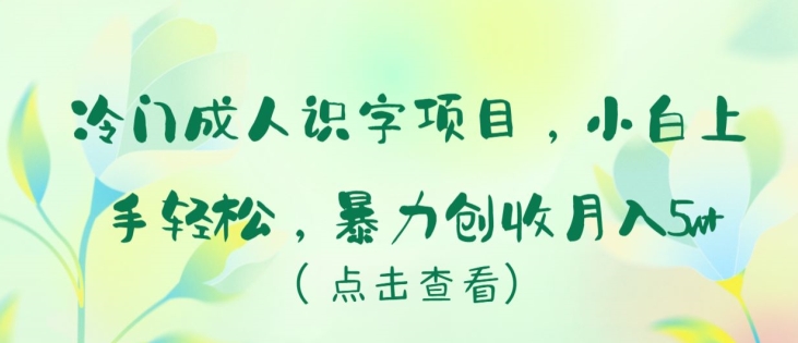 冷门成人识字项目,小白上手轻松,暴力创收月入5w+【揭秘】插图 冷门成人识字项目,小白上手轻松,暴力创收月入5w+【揭秘】