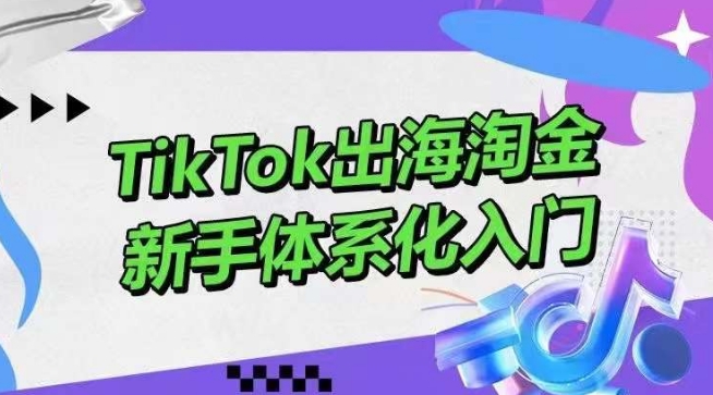 TikTok出海淘金,新手体系化入门,零基础快速入门,掌握短视频、直播带货等引流到变现的知识插图 TikTok出海淘金,新手体系化入门,零基础快速入门,掌握短视频、直播带货等引流到变现的知识