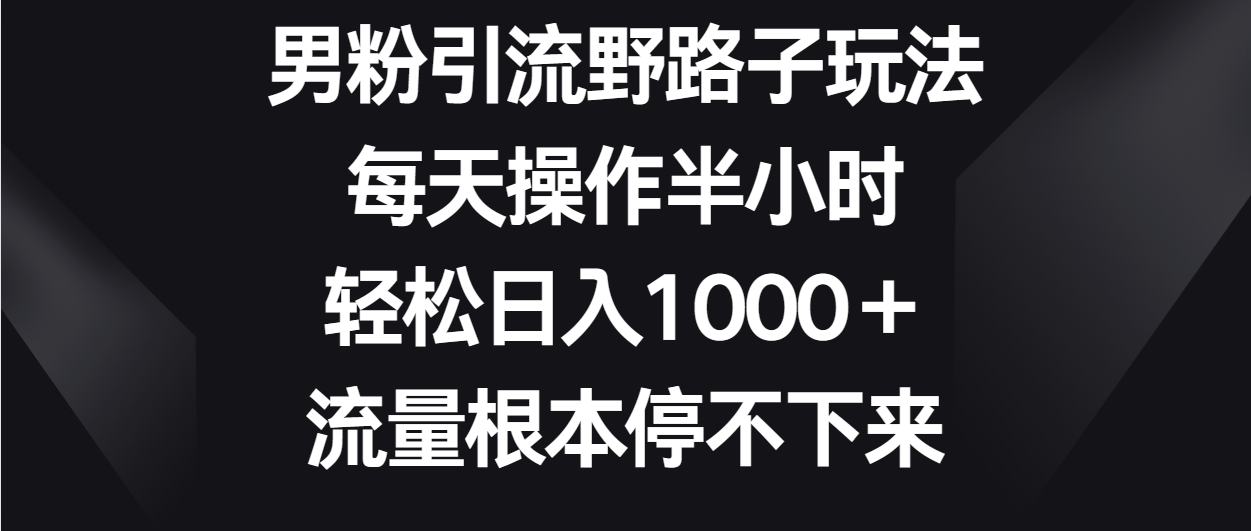 男粉引流野路子玩法,每天操作半小时轻松日入1000+,流量根本停不下来插图 男粉引流野路子玩法,每天操作半小时轻松日入1000+,流量根本停不下来插图