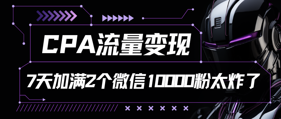 CPA流量变现,7天加满两个微信10000粉插图 CPA流量变现,7天加满两个微信10000粉插图