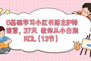 0基础学习小红书博主IP特训营，37天 教你从小白到KOL