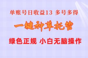 一键种草托管 单账号日收益13元 10个账号一天130 绿色稳定 可无限推广