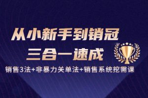 从小新手到销冠 三合一速成：销售3法+非暴力关单法+销售系统挖需课