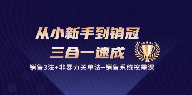 从小新手到销冠 三合一速成:销售3法+非暴力关单法+销售系统挖需课插图 从小新手到销冠 三合一速成:销售3法+非暴力关单法+销售系统挖需课插图