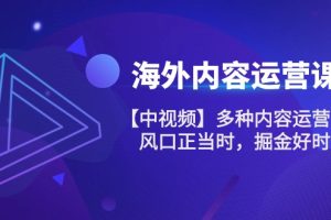 海外内容 运营课【中视频】多种内容运营玩法 风口正当时 掘金好时机