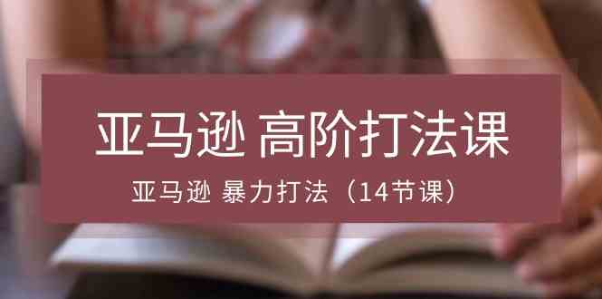 亚马逊高阶打法课,亚马逊暴力打法(14节课)插图 亚马逊高阶打法课,亚马逊暴力打法(14节课)插图