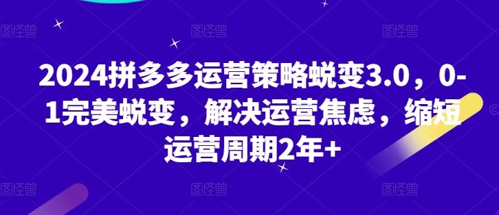 2024拼多多运营策略蜕变3.0,0-1完美蜕变,解决运营焦虑,缩短运营周期2年+插图 2024拼多多运营策略蜕变3.0,0-1完美蜕变,解决运营焦虑,缩短运营周期2年+