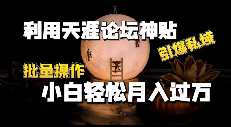 利用天涯论坛神贴,引爆私域,批量操作,小白轻松月入过w【揭秘】插图 利用天涯论坛神贴,引爆私域,批量操作,小白轻松月入过w【揭秘】
