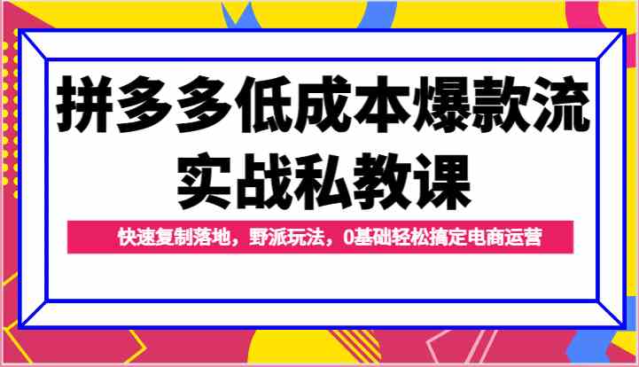 拼多多低成本爆款流实战私教课,快速复制落地,野派玩法,0基础轻松搞定电商运营插图 拼多多低成本爆款流实战私教课,快速复制落地,野派玩法,0基础轻松搞定电商运营插图