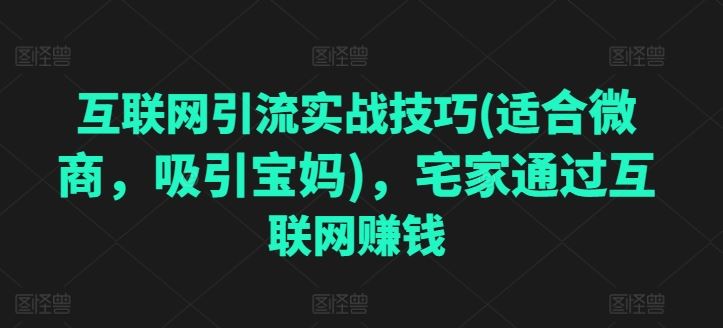 互联网引流实战技巧(适合微商,吸引宝妈),宅家通过互联网赚钱插图 互联网引流实战技巧(适合微商,吸引宝妈),宅家通过互联网赚钱