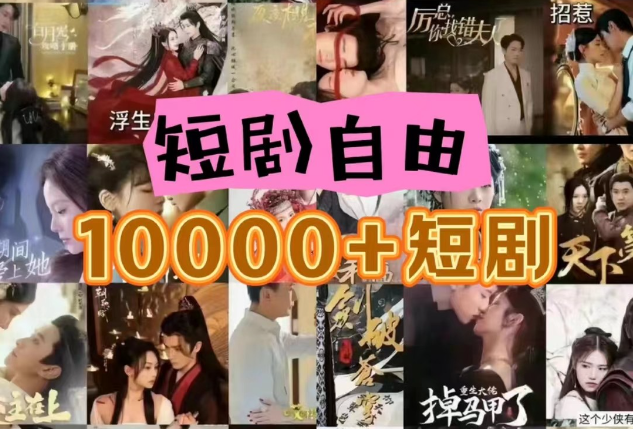 打造完全属于自己的个人短剧库,实现网盘拉新与私域变现的完美融合!插图 打造完全属于自己的个人短剧库,实现网盘拉新与私域变现的完美融合!插图