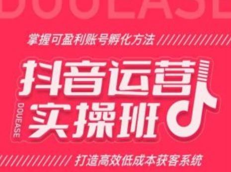 抖音运营实操班,掌握可盈利账号孵化方法,打造高效低成本获客系统插图 抖音运营实操班,掌握可盈利账号孵化方法,打造高效低成本获客系统