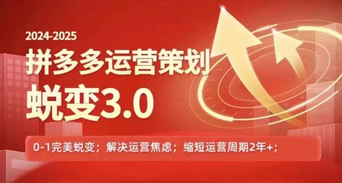 2024-2025拼多多运营策略蜕变3.0,0~1完美蜕变,解决信息焦虑插图 2024-2025拼多多运营策略蜕变3.0,0~1完美蜕变,解决信息焦虑
