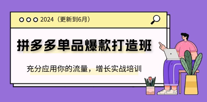 2024拼多多-单品爆款打造班(更新6月),充分应用你的流量,增长实战培训插图 2024拼多多-单品爆款打造班(更新6月),充分应用你的流量,增长实战培训插图
