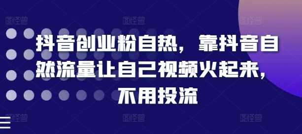 抖音创业粉自热,靠抖音自然流量让自己视频火起来,不用投流插图 抖音创业粉自热,靠抖音自然流量让自己视频火起来,不用投流