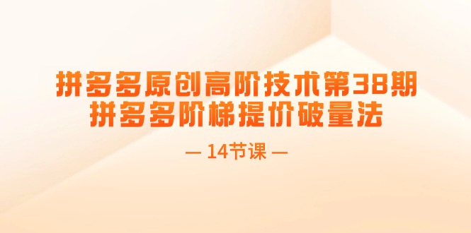 拼多多原创高阶技术第38期,拼多多阶梯提价破量法(14节课)插图 拼多多原创高阶技术第38期,拼多多阶梯提价破量法(14节课)插图