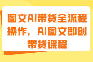 图文AI带货全流程操作，AI图文即创带货课程