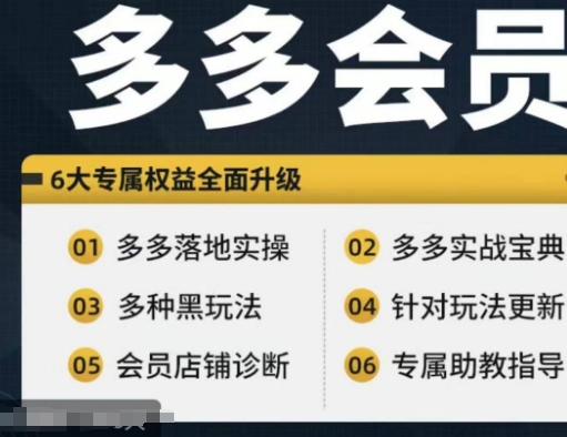 拼多多会员,拼多多实战宝典+实战落地实操,从新手到高阶内容全面覆盖插图 拼多多会员,拼多多实战宝典+实战落地实操,从新手到高阶内容全面覆盖