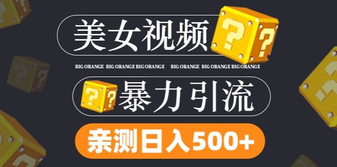 搬运tk美女视频全网分发,日引s粉300+,轻松变现,不限流量不封号【揭秘】插图 搬运tk美女视频全网分发,日引s粉300+,轻松变现,不限流量不封号【揭秘】