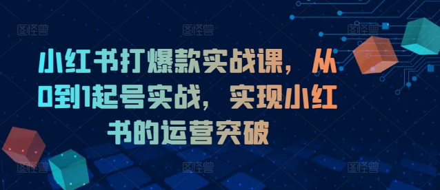 小红书打爆款实战课,从0到1起号实战,实现小红书的运营突破插图 小红书打爆款实战课,从0到1起号实战,实现小红书的运营突破