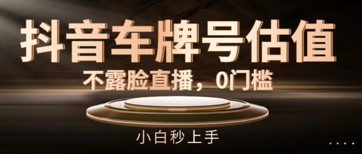 抖音车牌号估值,不露脸直播,0门槛,小白秒上手【揭秘】插图 抖音车牌号估值,不露脸直播,0门槛,小白秒上手【揭秘】