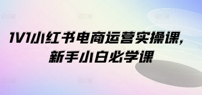 1V1小红书电商运营实操课,新手小白必学课插图 1V1小红书电商运营实操课,新手小白必学课