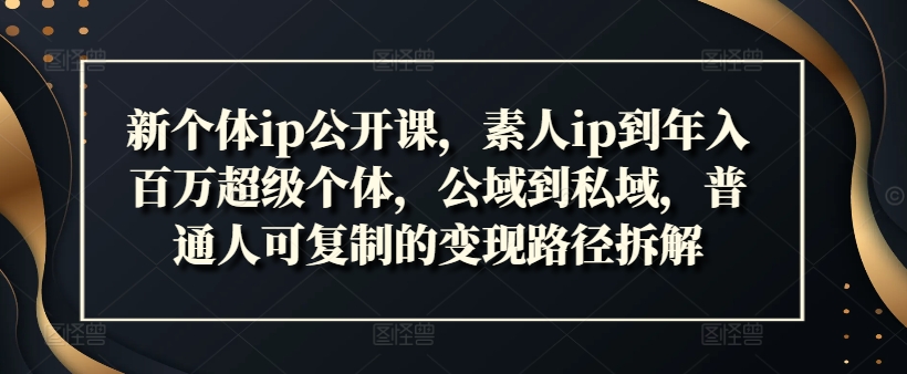 新个体ip公开课,素人ip到年入百万超级个体,公域到私域,普通人可复制的变现路径拆解插图 新个体ip公开课,素人ip到年入百万超级个体,公域到私域,普通人可复制的变现路径拆解