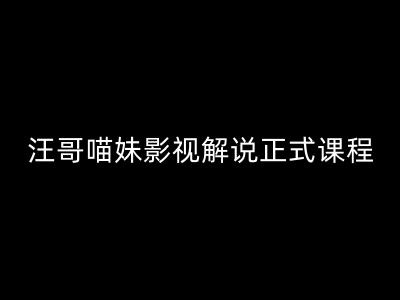 汪哥影视解说正式课程:剪映/PR教学/视解说剪辑5大黄金法则/全流程剪辑7把利器等等插图 汪哥影视解说正式课程:剪映/PR教学/视解说剪辑5大黄金法则/全流程剪辑7把利器等等