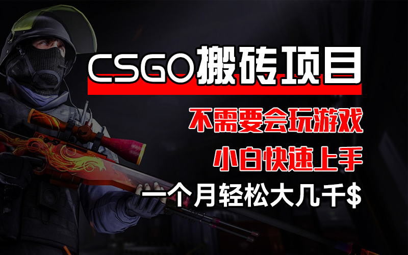 CSGO 装备搬砖项目,操作简单,不需要会玩游戏,小白也能快速上手,一…插图 CSGO 装备搬砖项目,操作简单,不需要会玩游戏,小白也能快速上手,一…插图